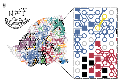 10X空间转录组NEural network on Spatial Transcriptomics