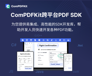 JavaScript快速入门：ComPDFKit PDF SDK 快速构建 Web端 PDF阅读器