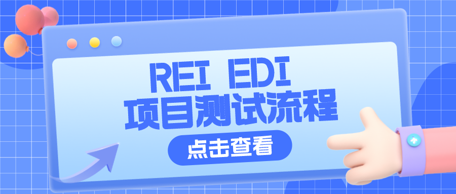 REI EDI 项目测试流程