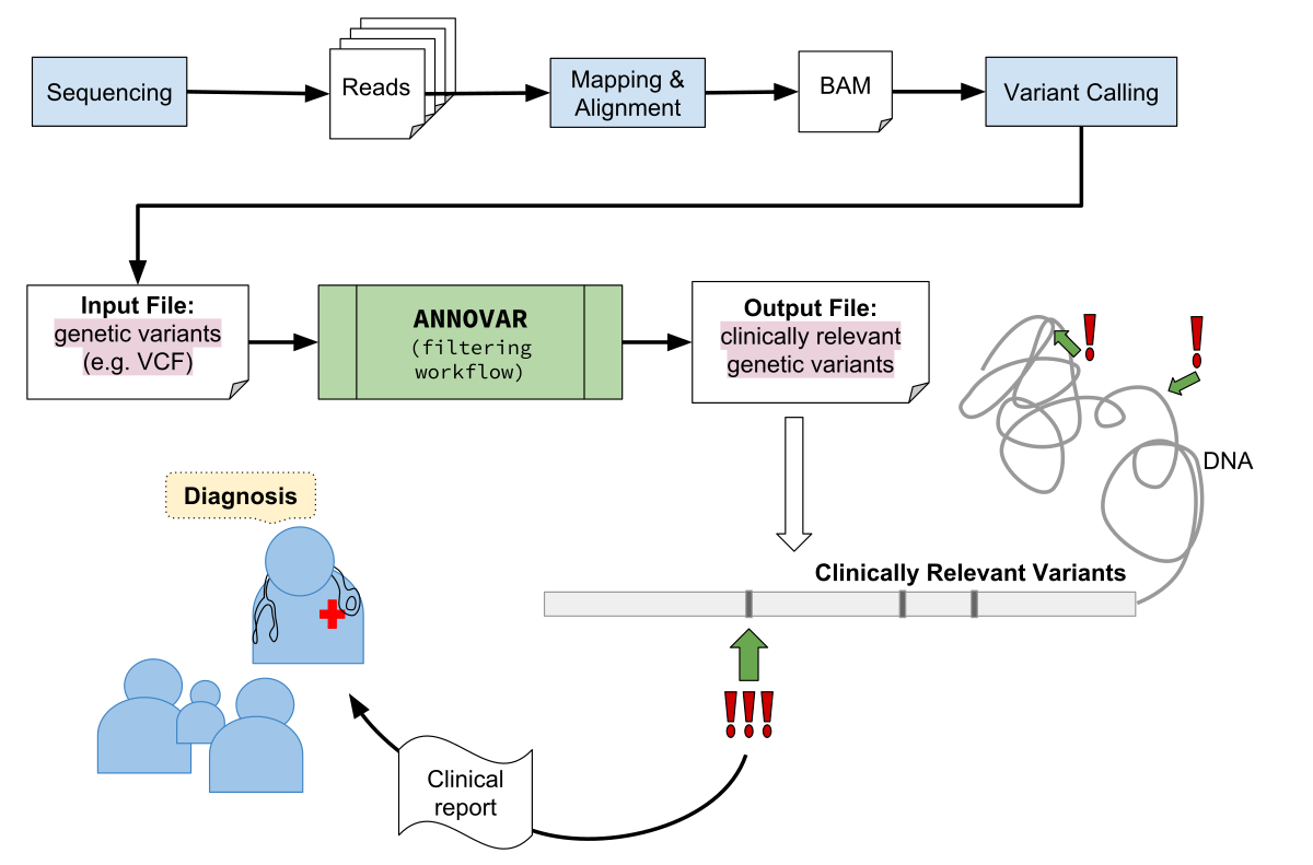 全基因组 -  人类基因组变异分析 (PacBio）（6）-- ANNOVAR