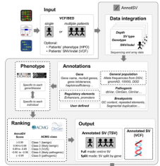 全基因组 -  人类基因组变异分析 (PacBio)（7）-- AnnotSV