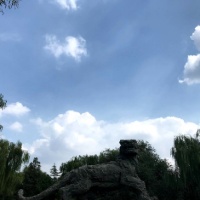 作者头像