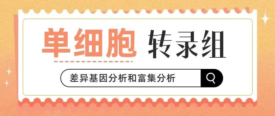 单细胞转录组 | 差异基因分析和富集分析