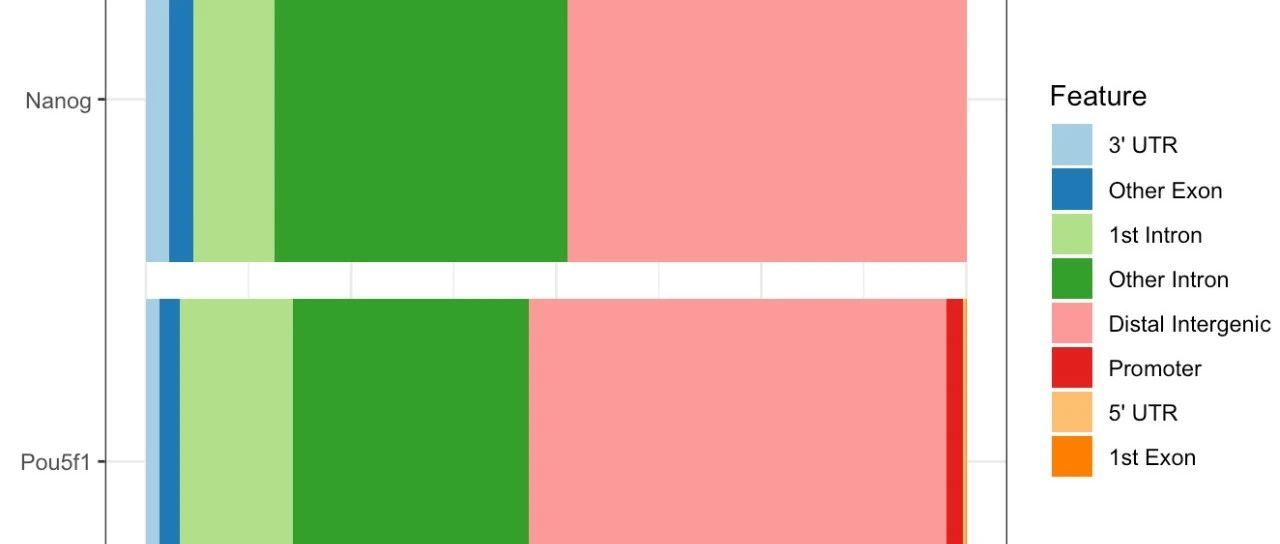 ChIP-Seq 分析流程-下游(2)