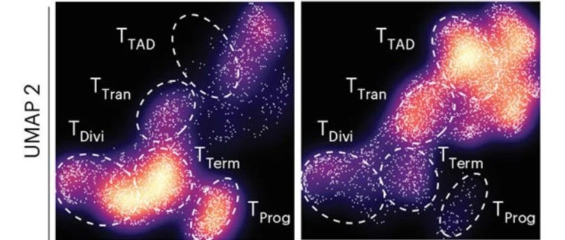 画个同款新奇的“Galaxy”星系UMAP图（Nat Immunol：IF27.8）