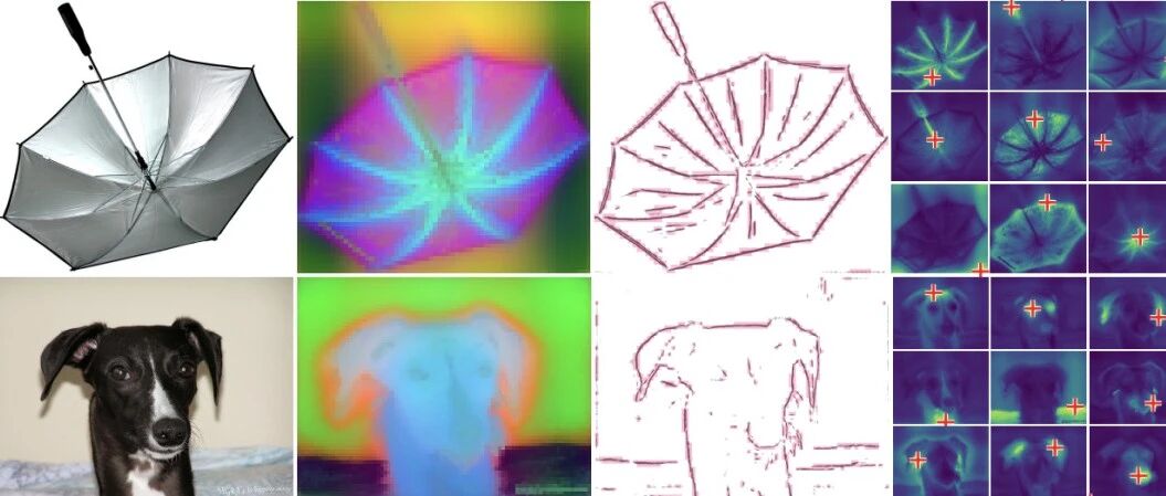 蚂蚁灵波发布全球首个空间原生视觉基础模型