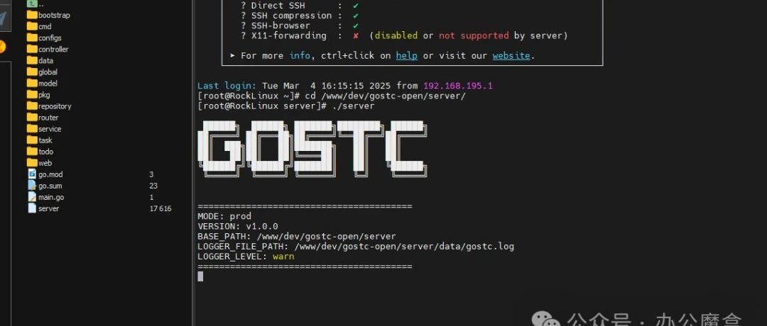 NAS内网穿透工具私有化部署推荐(Gostc-Open),支持飞牛,威联通,群晖等NAS