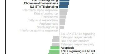 顶刊杂志Nat Med.(IF=58.7)同款GSVA打分结果可视化