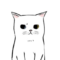 作者头像