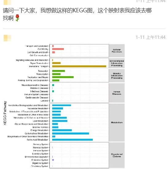 KEGG富集结果7大分类展示