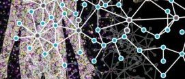 Nat. Biotechnol. | 组织特异性蛋白互作图谱助力候选致病基因优先排序