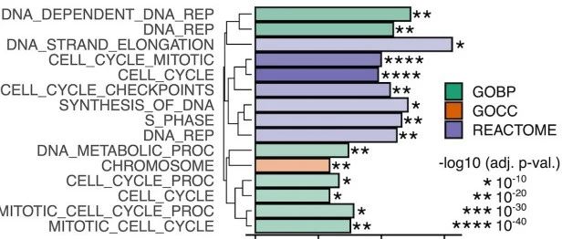 Science杂志：富集结果条形图还可以聚类吗？