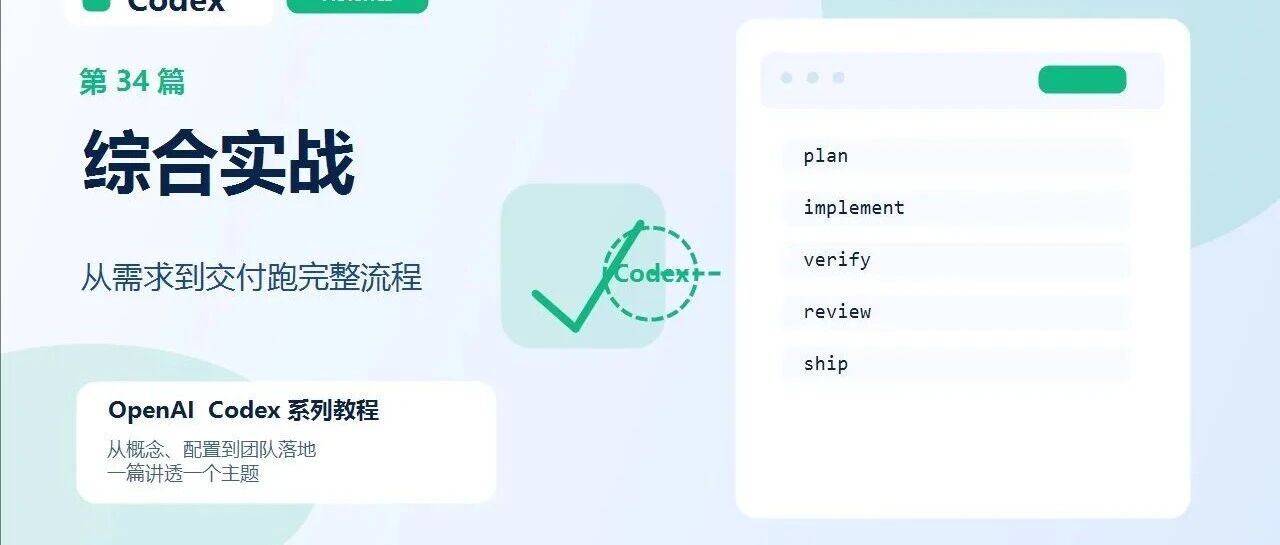 Codex-综合实战