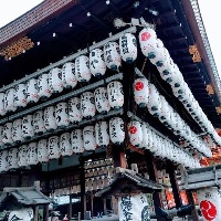 作者头像