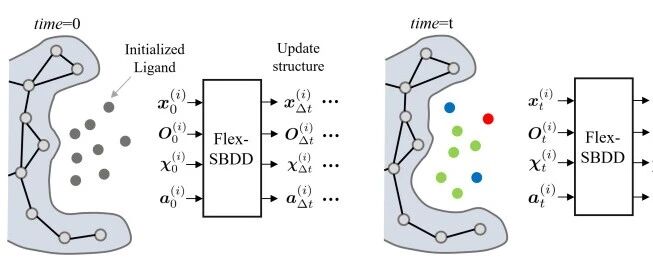 NeurIPS | 柔性蛋白建模进入 3D 分子生成：FlexSBDD 的技术逻辑与局限