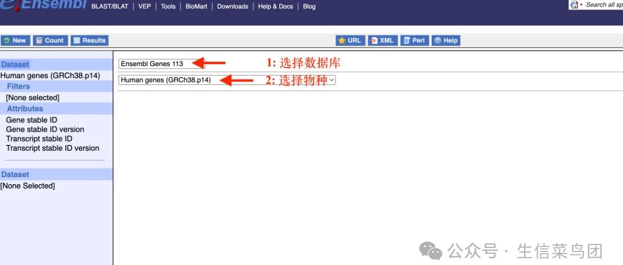 玩转 ENSEMBL 数据库 （一）