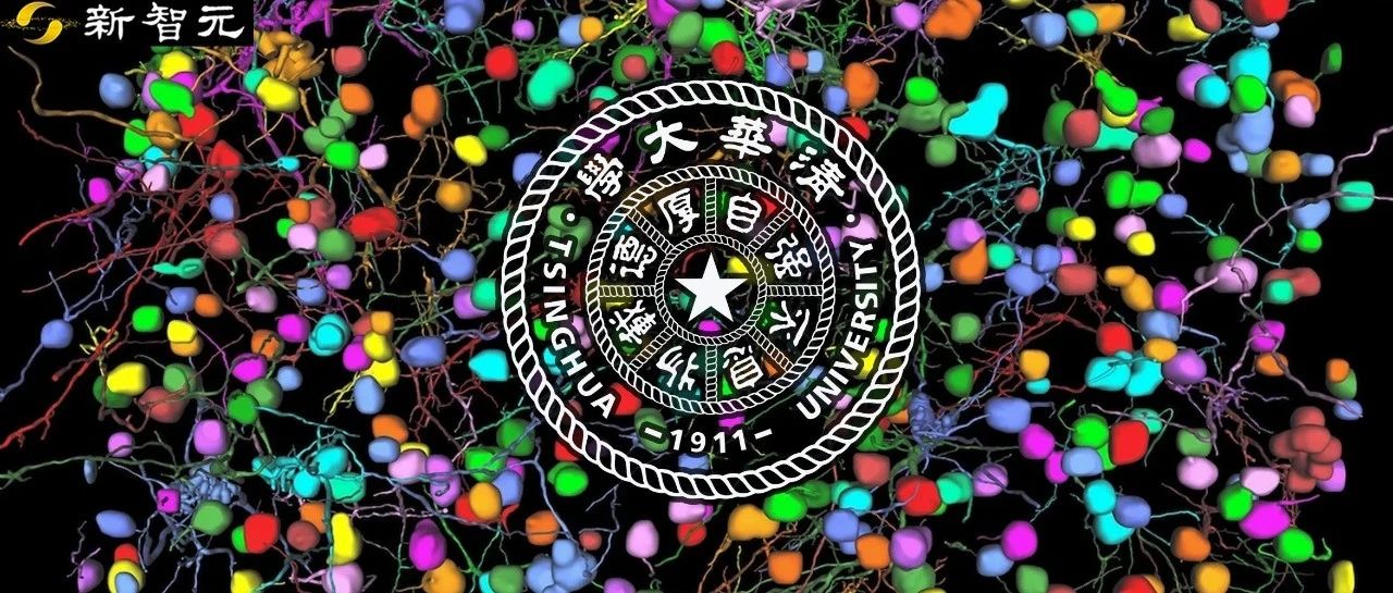 AI光学显微镜，分辨率提升15.4倍！生物医学活体观测新纪元