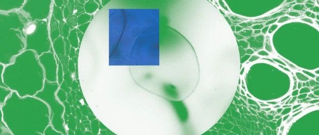 Nature | 多模态基础模型引领分子细胞生物学新纪元