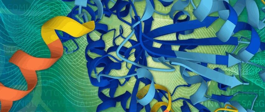 Nat. Methods | 人类蛋白质亚细胞定位序列预测方法的综合基准评测