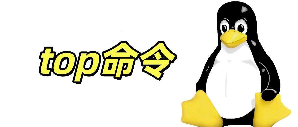 怎样读懂top命令？