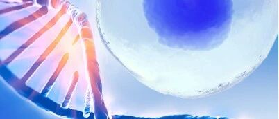 Genome Biol. | 基于KAN网络的全面单细胞分析框架，实现细胞特异性基因发现与药物重定位