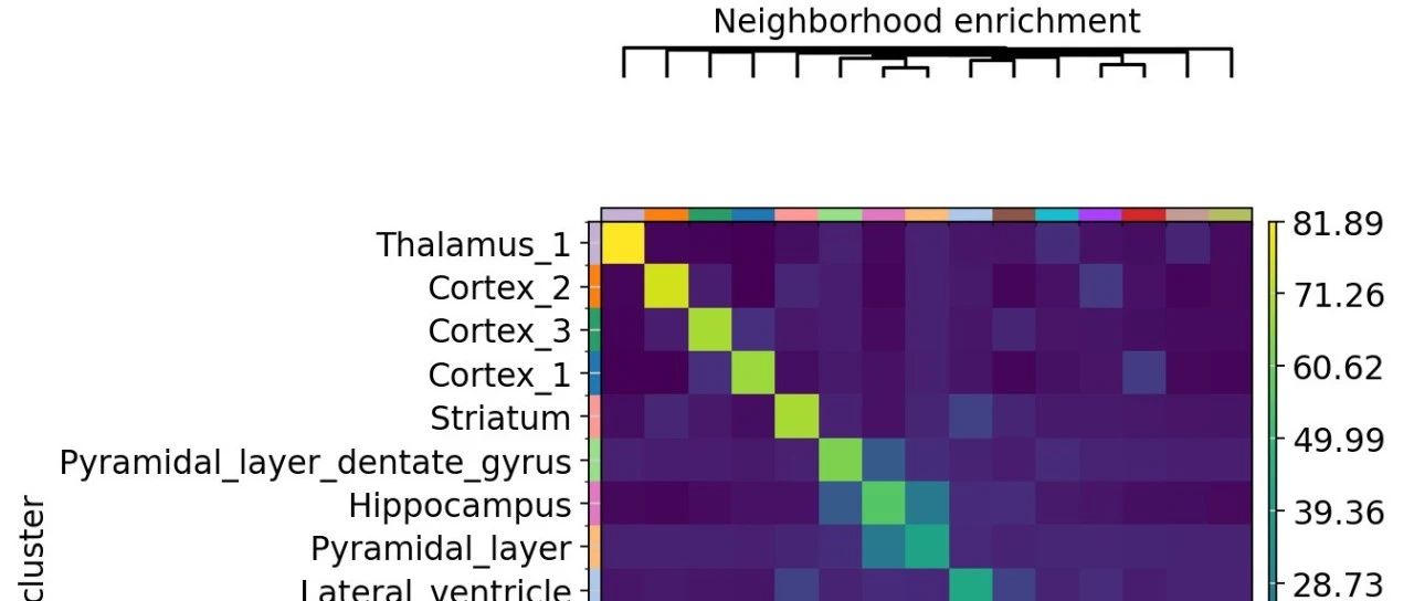空间邻域分析 Neighborhood analysis：Squidpy（IF=32.09）