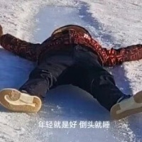 作者头像