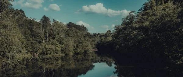 Lakehouse 如何重塑企业数据生态？