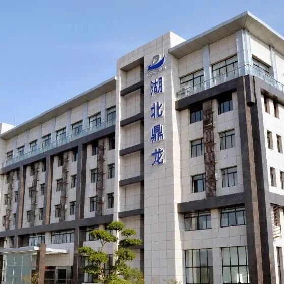 优秀的个人博客,低调大师