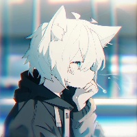作者头像