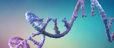 Nat. Commun.  | 用于功能性RNA分子设计的生成与预测神经网络