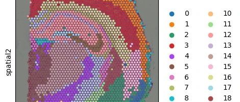 python读取空间转录组数据