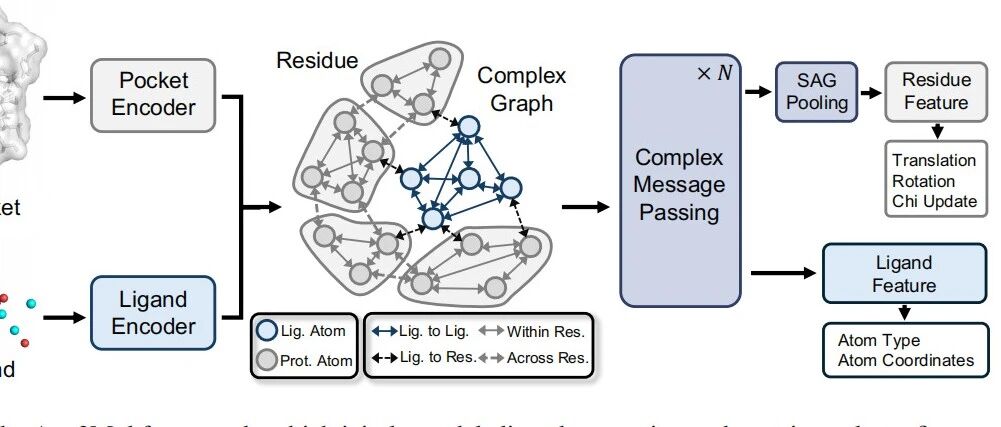AAAI | AI 扩散分子生成走向动态口袋：Apo2Mol 的方法逻辑、实验结果与局限