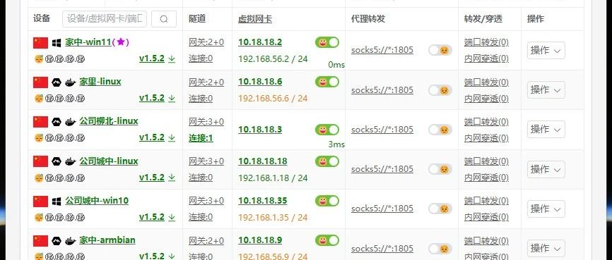 一个基于 .NET 开源免费的异地组网和内网穿透工具