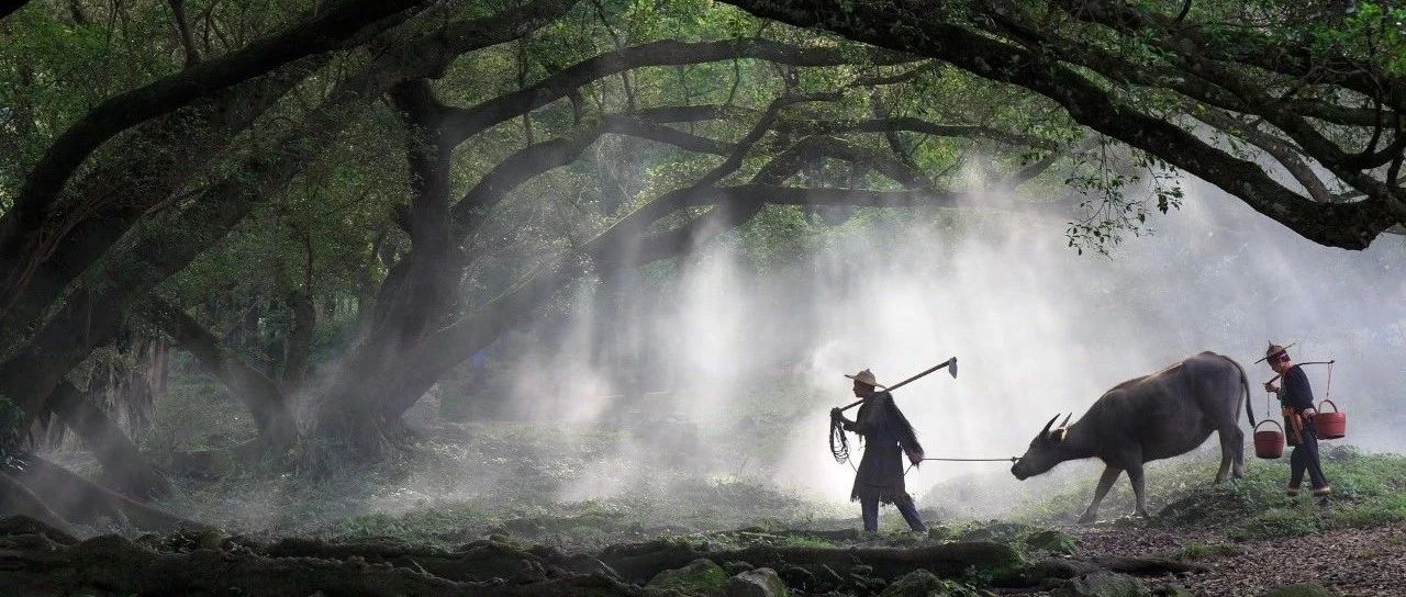 从青铜到王者系列：跟着文件系统学数据结构