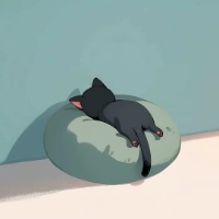 作者头像