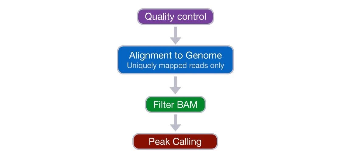 ChIP-Seq 分析流程-上游