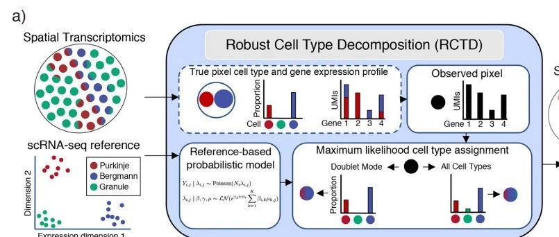 空间转录组数据注释分析：RCTD反卷积(Nature Biotechnology IF: 33.1)