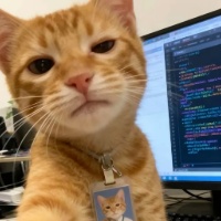 作者头像