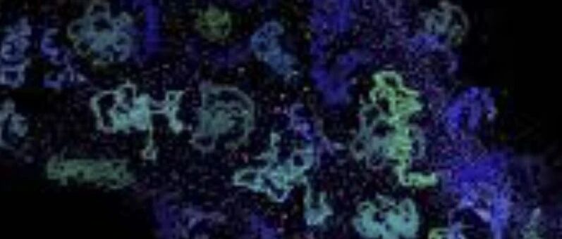 Nature | AI重新设计的起始序列与进化产物促进蛋白质进化