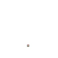 作者头像