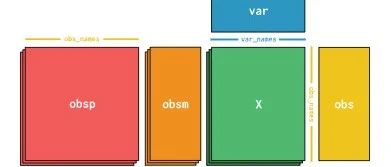 做单细胞和空转必须了解的AnnData数据结构