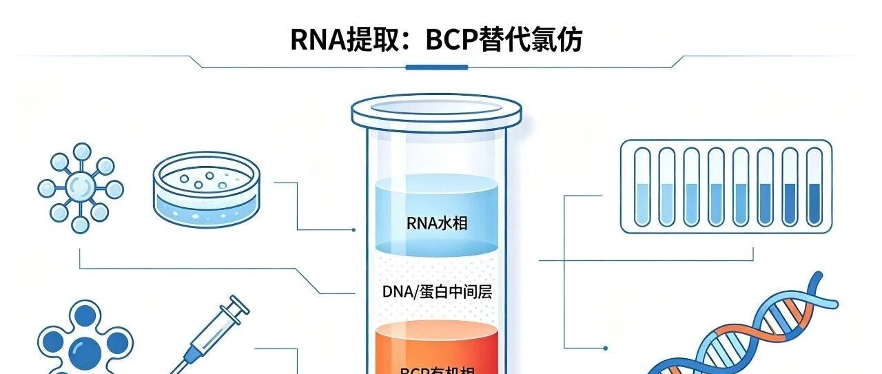 核酸提取：BCP 平替管制氯仿，无需溢价买商用替代剂