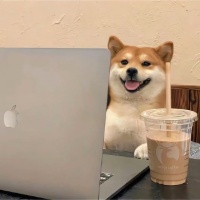 作者头像