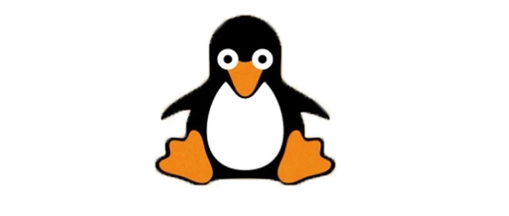 怎么查看使用的Linux是虚拟机还是物理机