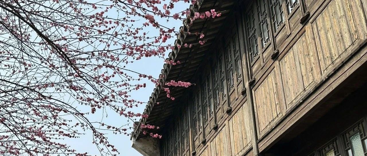 领慧立芯LHE3302：电化学模拟前端（AFE）