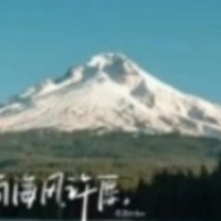作者头像