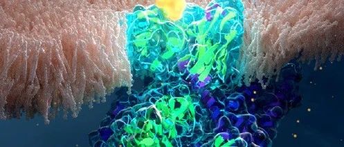 Nat. Rev. Drug Discov. | GPCR靶向药物新纪元：创新药物、新靶点与突破性适应症