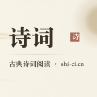 作者头像