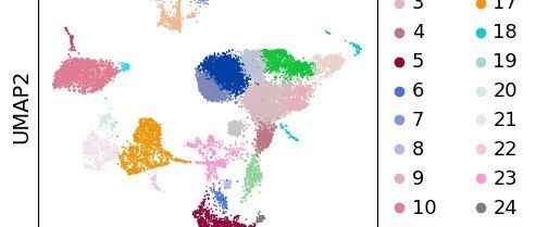 Scanpy 分析 scRNA-seq：降维与聚类